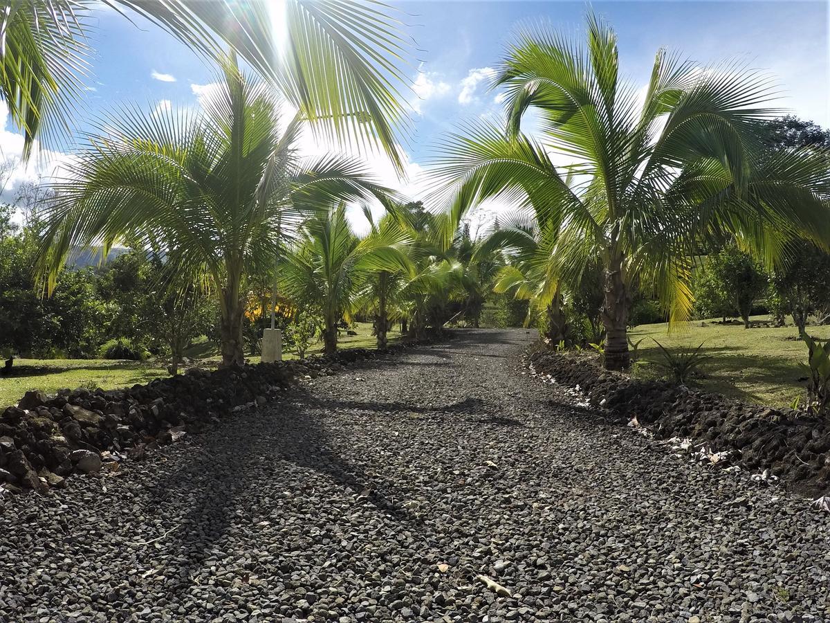 Cabana Amik'Asi Villa Turrialba Exterior photo