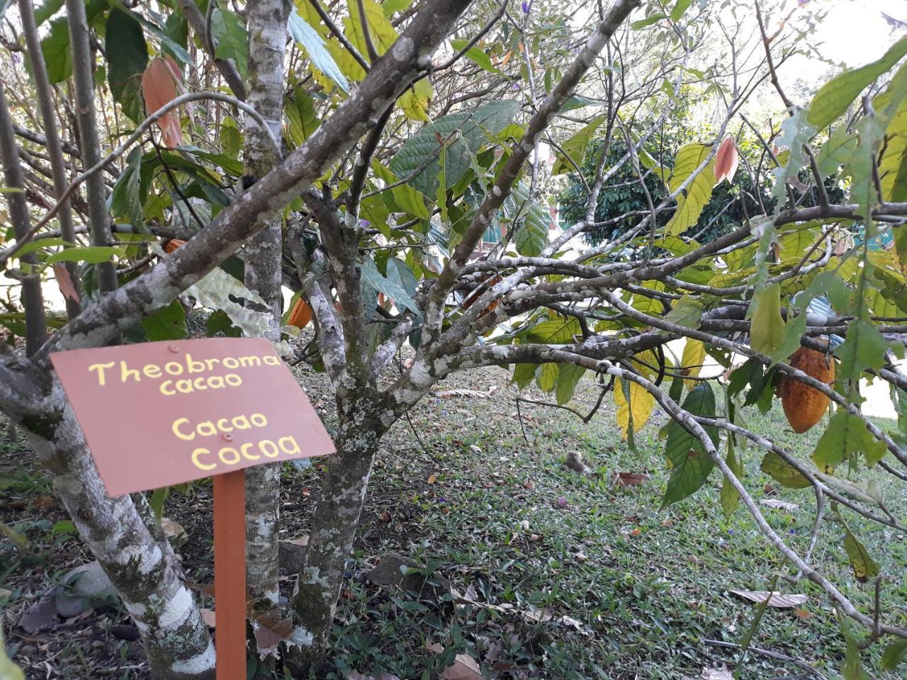 Cabana Amik'Asi Villa Turrialba Exterior photo