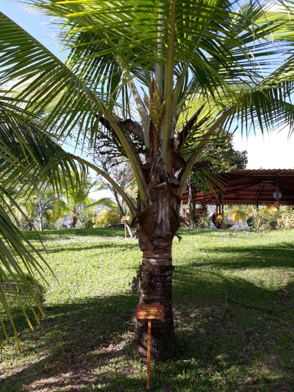 Cabana Amik'Asi Villa Turrialba Exterior photo